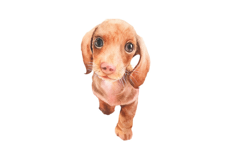 dog-watercolor-clipart