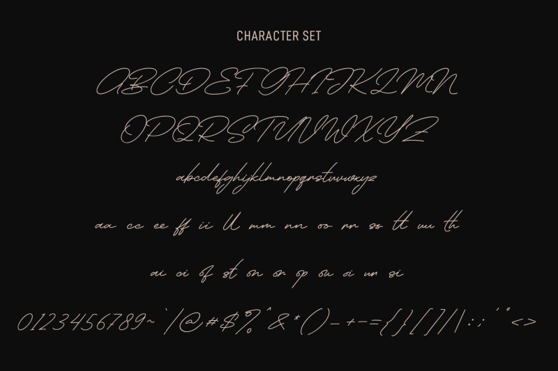 hoffmans-signature-font