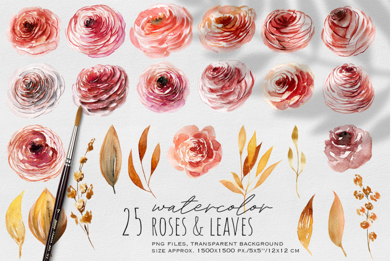 autumn-roses-amp-leaves-watercolor-clipart