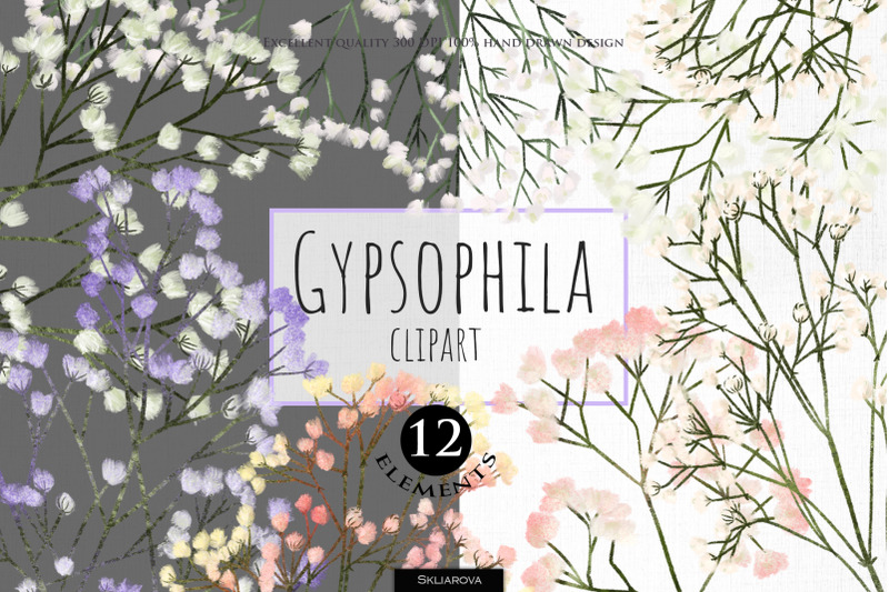 gypsophila-clipart