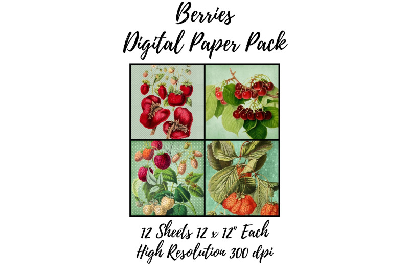 berries-digital-paper-pack-12-sheets-of-12-x-12-quot-jpg