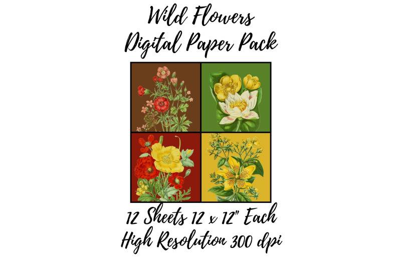 wild-flowers-digital-paper-pack-nbsp