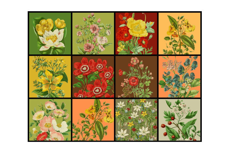 wild-flowers-digital-paper-pack-nbsp