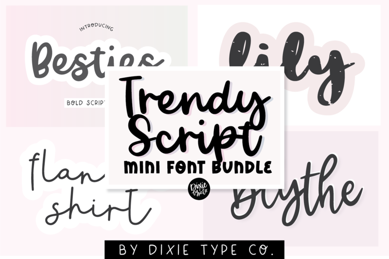 mini-trendy-script-font-bundle