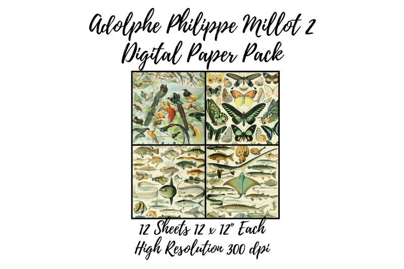 adolphe-millot-2-digital-paper-pack