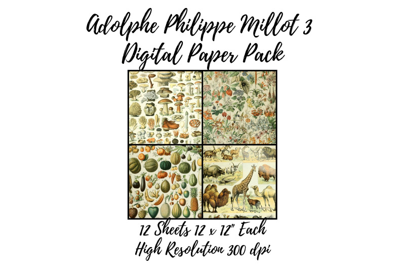 adolphe-millot-3-digital-paper-pack