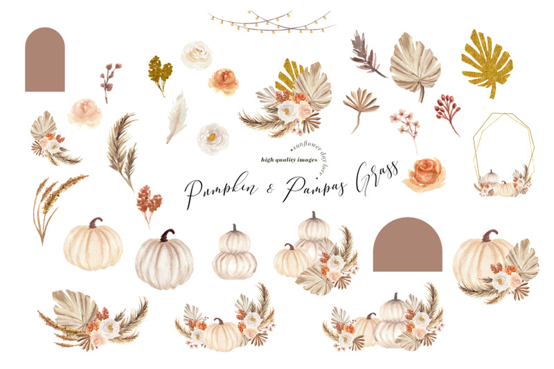 white-pumpkin-pampas-grass-clipart-arch-boho-clipart-dried-palm-leaf