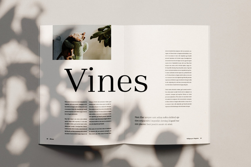 albouze-minimalist-magazine-template
