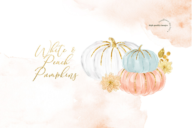 pink-blue-mint-and-peach-elements-pumpkin-clipart