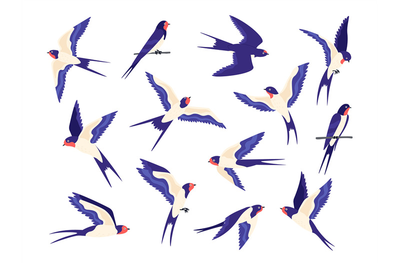 cartoon-small-barn-swallow-birds-flight-poses-flat-swallows-fly-in-sk