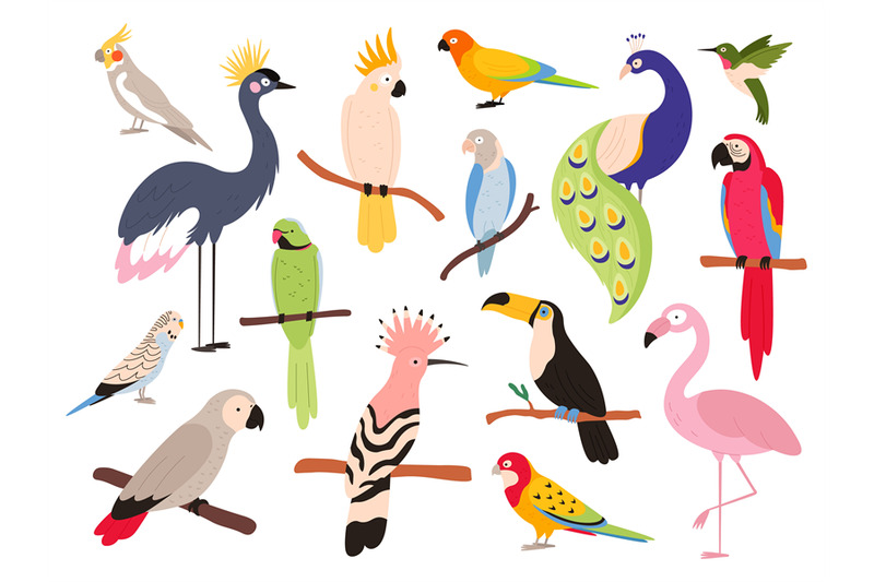 flat-parrots-and-tropical-jungle-birds-flying-and-sitting-macaw-para