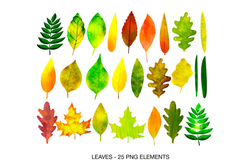 digital-watercolor-autumn-clipart-fall-leaves-clipart
