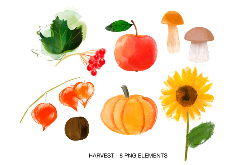 digital-watercolor-autumn-clipart-fall-leaves-clipart