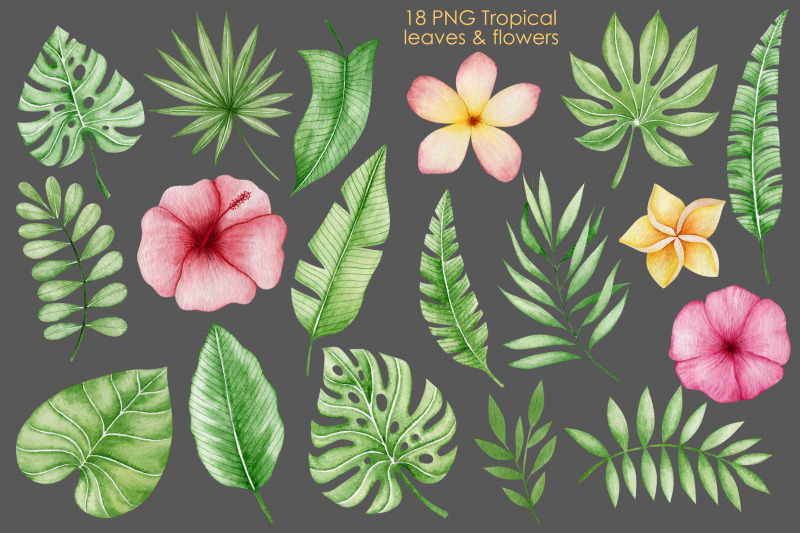 watercolor-tigers-clipart-tropical-leaves-and-flowers-elements