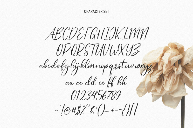 elfashion-beauty-script-font