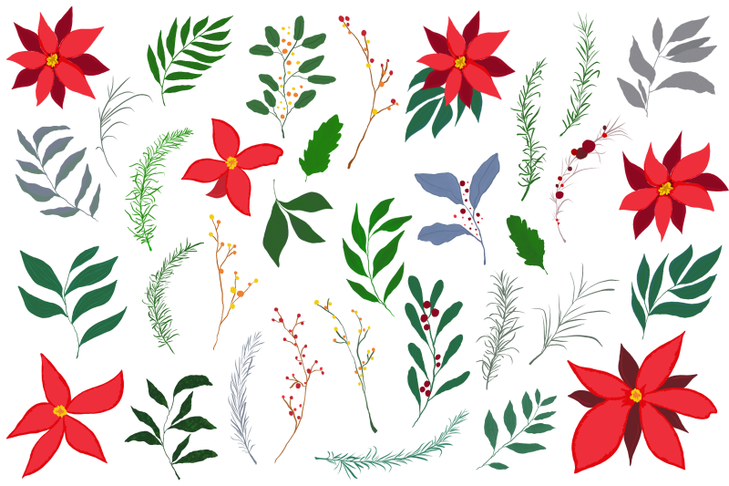 christmas-flowers-png-sublimations-christmas-clipart