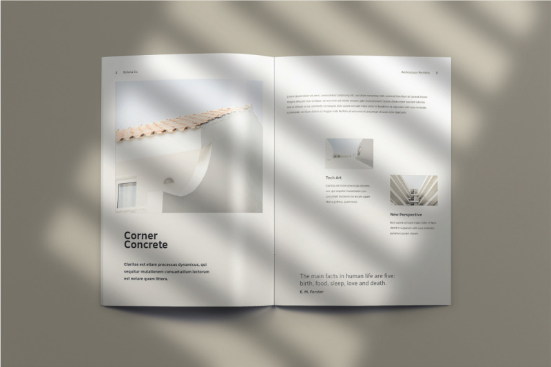bellana-brochure-template-indesign