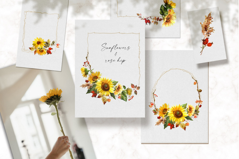 sunflowers-amp-rose-hip-frames