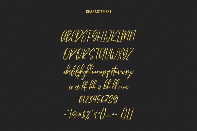 citadels-signature-script-font