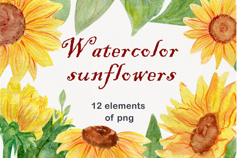 watercolor-floral-sunflower-clipart-png