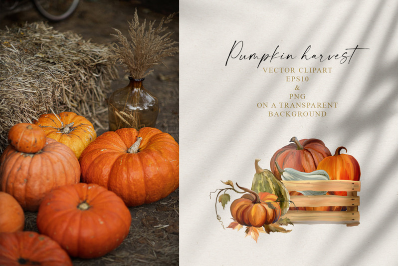 pumpkin-harvest-autumn-clipart-collection