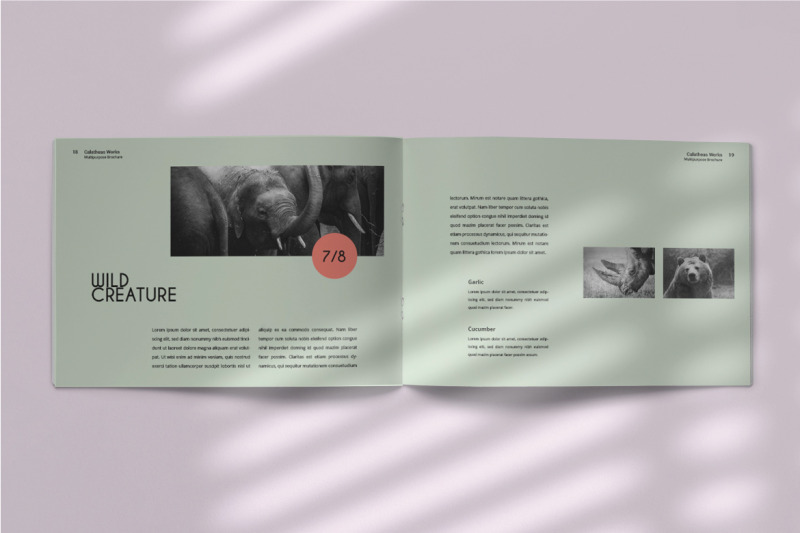calatheas-works-landscape-brochure-template-indesign