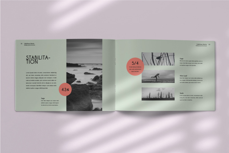 calatheas-works-landscape-brochure-template-indesign