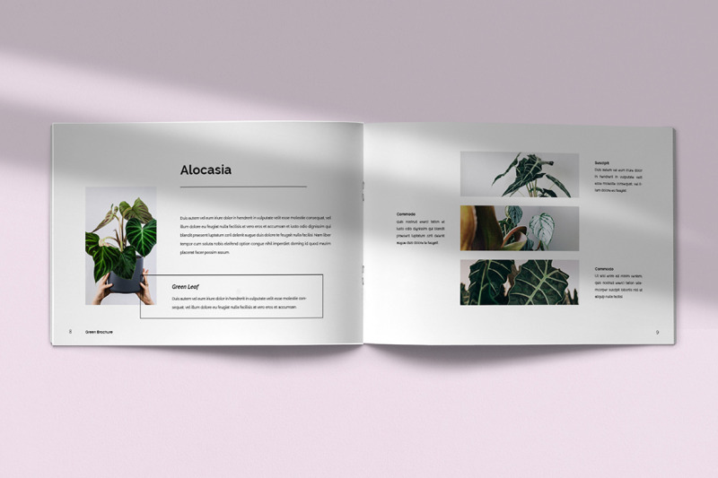 foliage-landscape-brochure-template-indesign