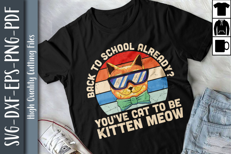 1st-day-back-to-school-funny-cat-kitten