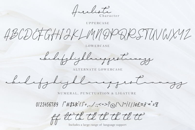 aurelista-monoline-script
