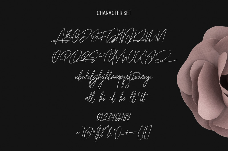 zapatos-signature-script-font