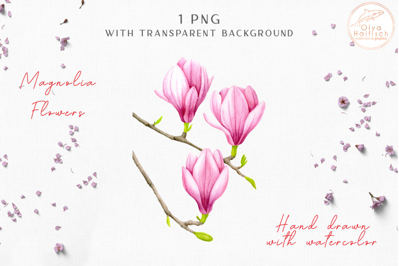 watercolor-pink-magnolia-flowers-clipart-sublimation-png