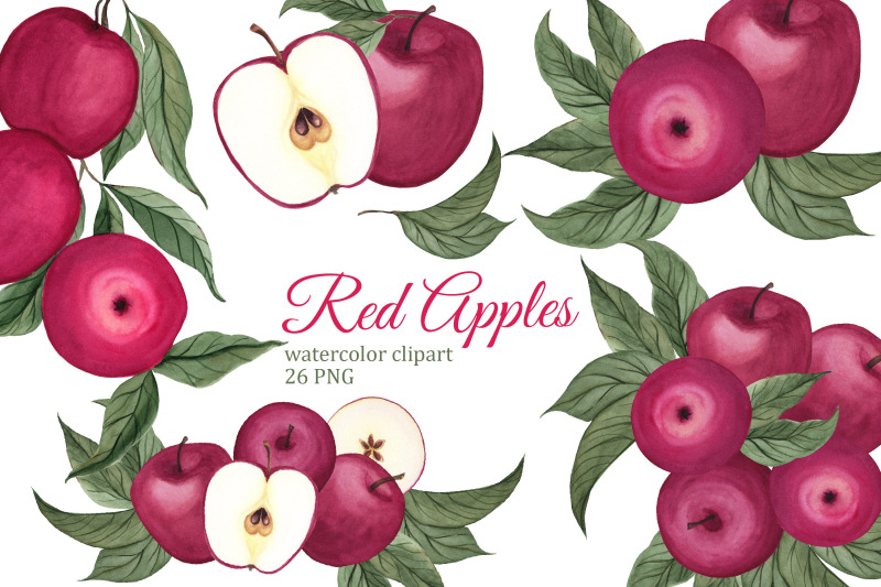 red-apples-watercolor-clipart-autumn-summer-png-fall-wreath-harves