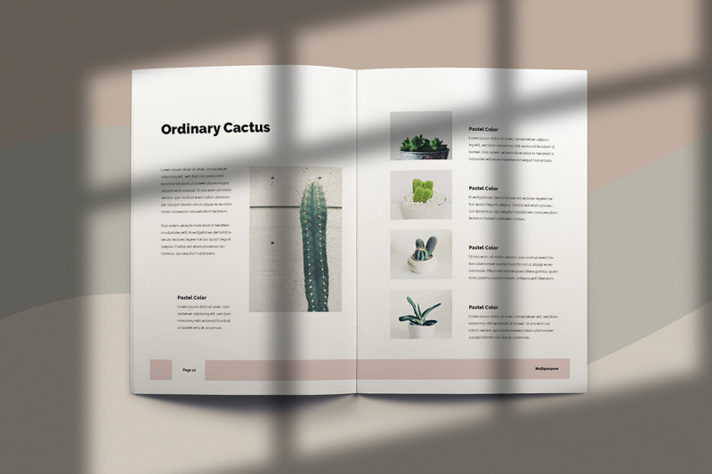 pop-green-brochure-template-indesign