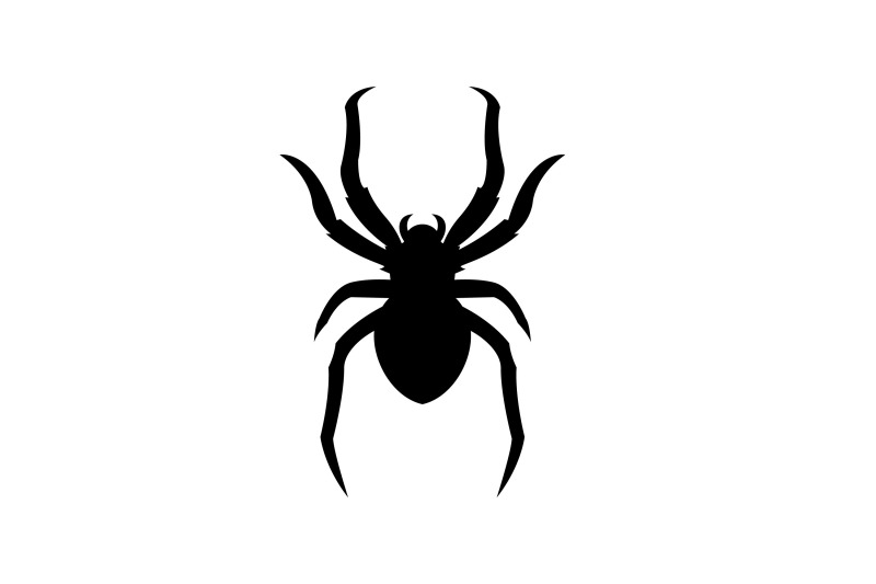 spider-insect-arthropod-symbol-logo-design-silhouette