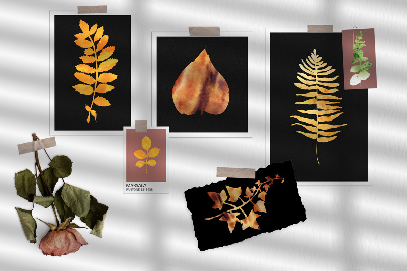 watercolor-autumn-falling-leave-clipart