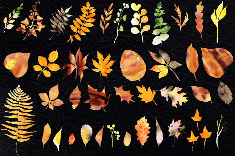 watercolor-autumn-falling-leave-clipart