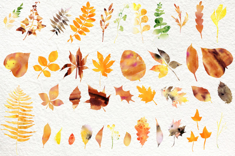 watercolor-autumn-falling-leave-clipart