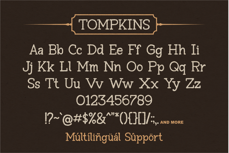 tompkins-a-vintage-slab-serif-font