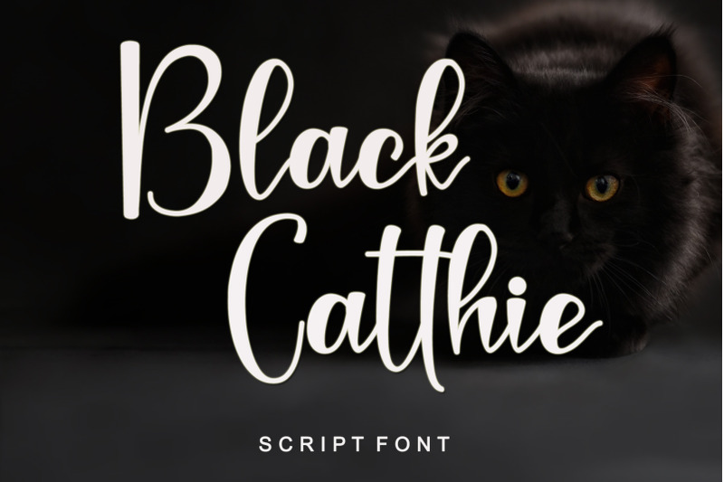 black-catthie