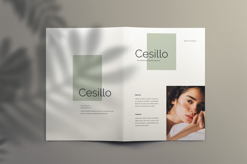 cesillo-brochure-template-indesign