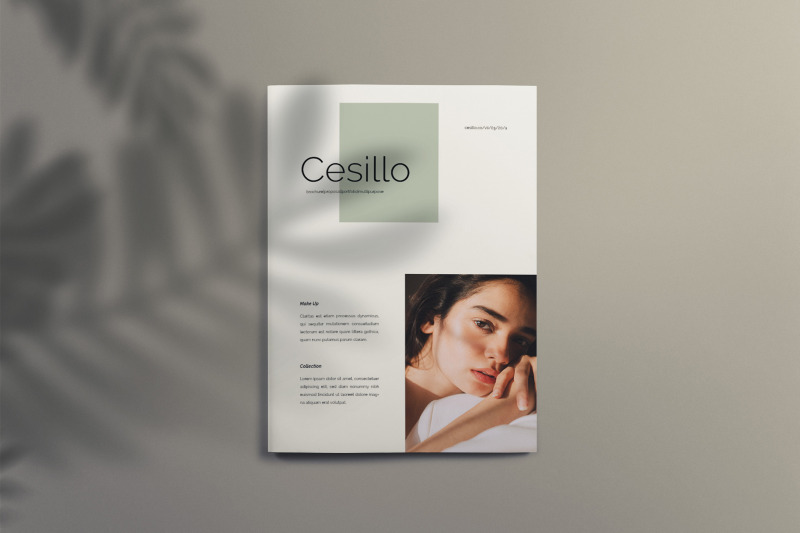 cesillo-brochure-template-indesign