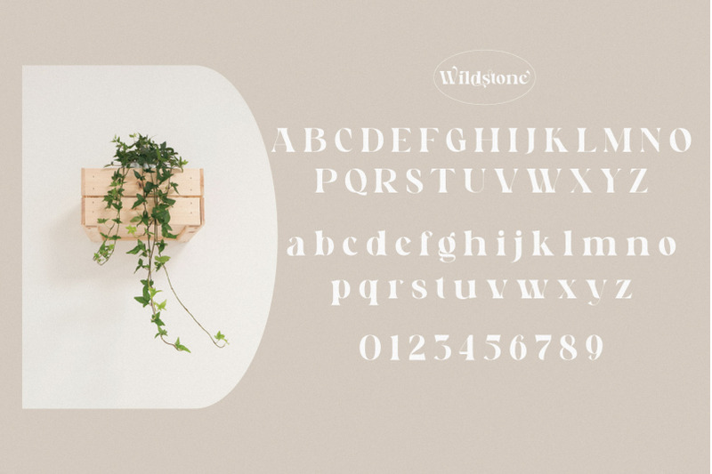 wildstone-ligature-serif-typeface