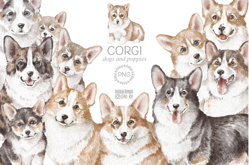 corgi-dogs-and-puppies-png-clipart