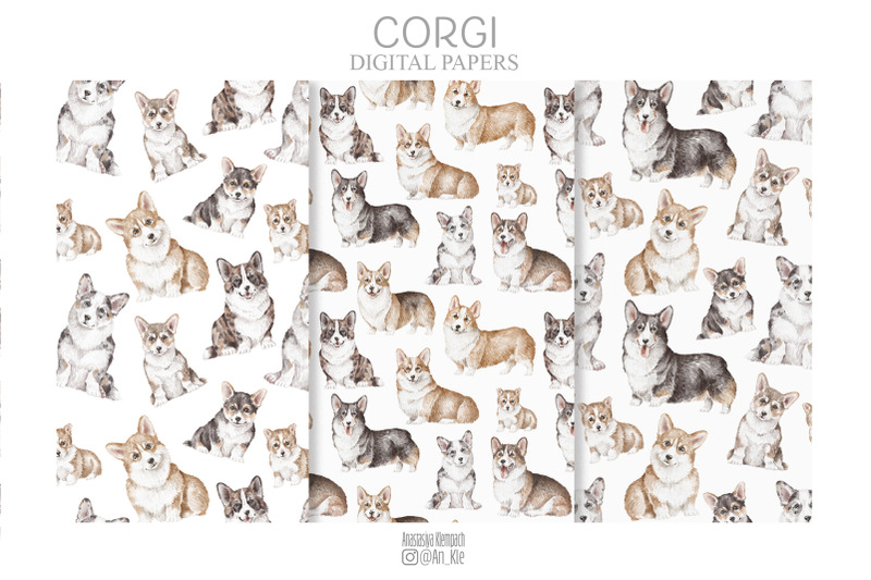 corgi-dogs-and-puppies-png-clipart