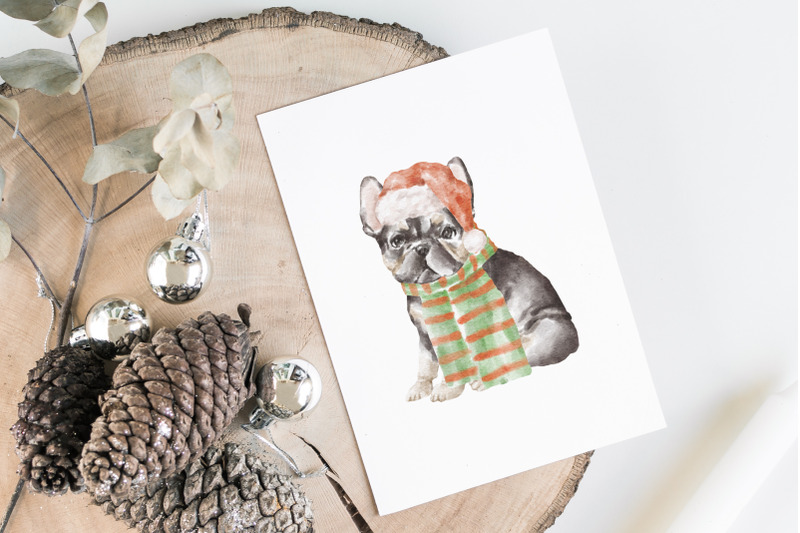 french-bulldog-dogs-and-puppies-clipart-png