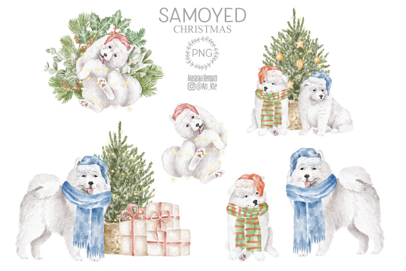 samoyed-dogs-digital-clipart-png
