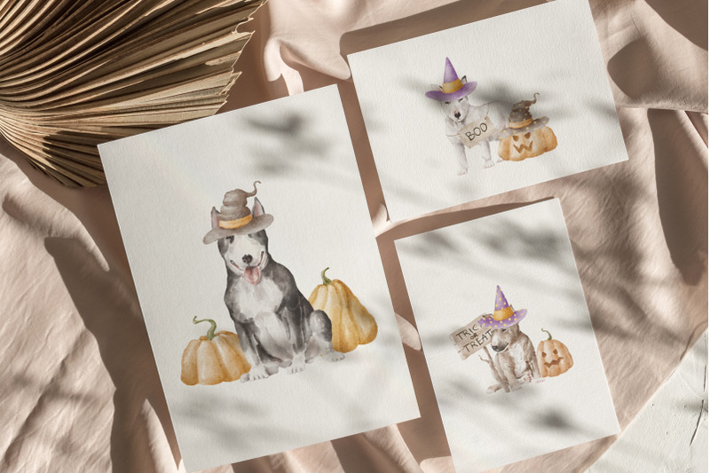 bullterier-dogs-and-puppies-png-clipart