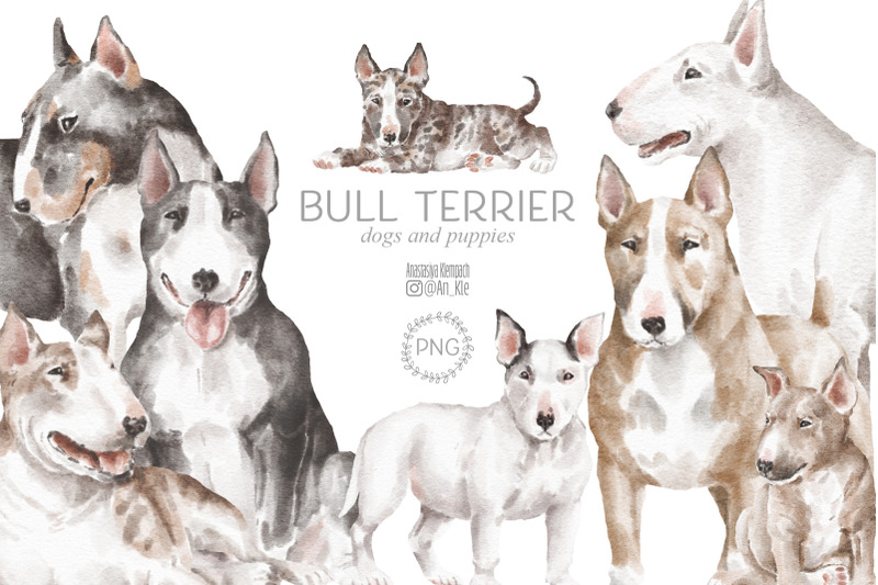 bullterier-dogs-and-puppies-png-clipart
