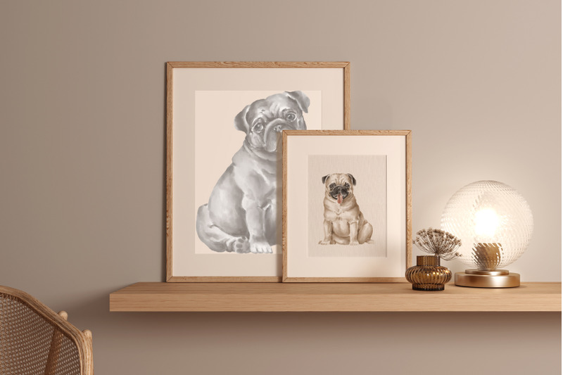 pug-dogs-png-clipart